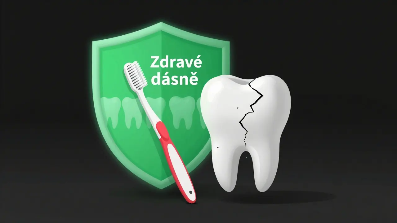 Kartáček chrání zuby před kazem a zánětem dásní.